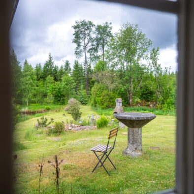 Uitzicht tuin